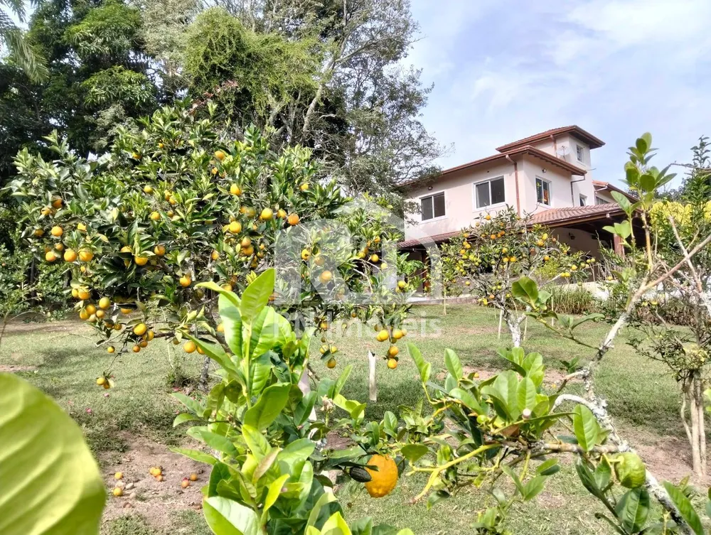 Sítio, 5 quartos, 6160 m² - Foto 8