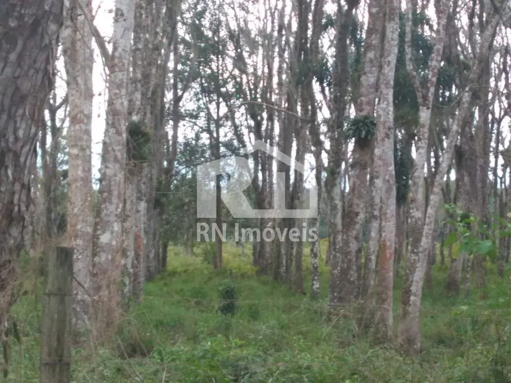 Terreno, 3 hectares - Foto 2