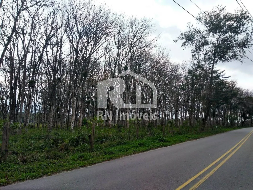 Terreno, 3 hectares - Foto 3