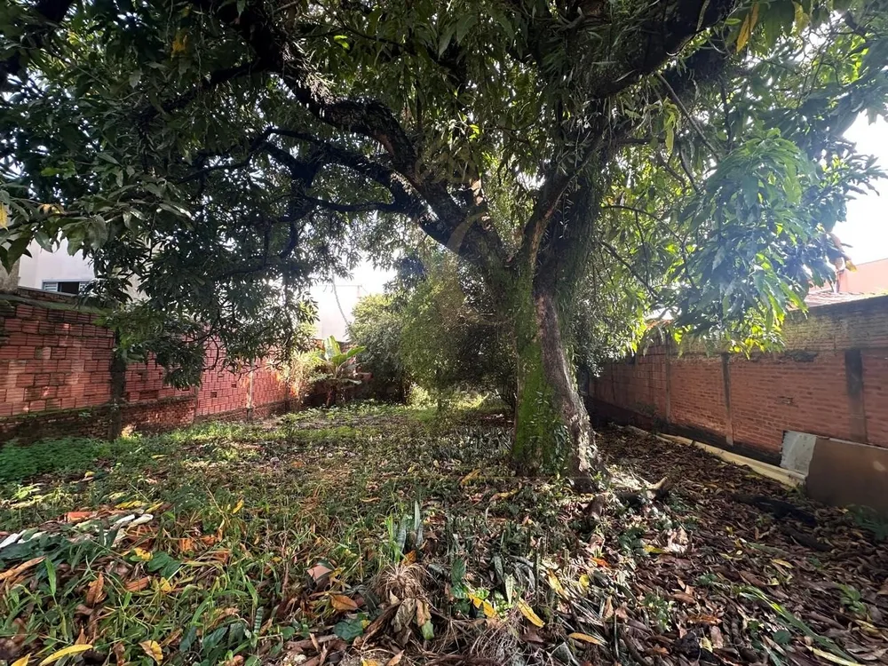 Terreno, 286 m² - Foto 4