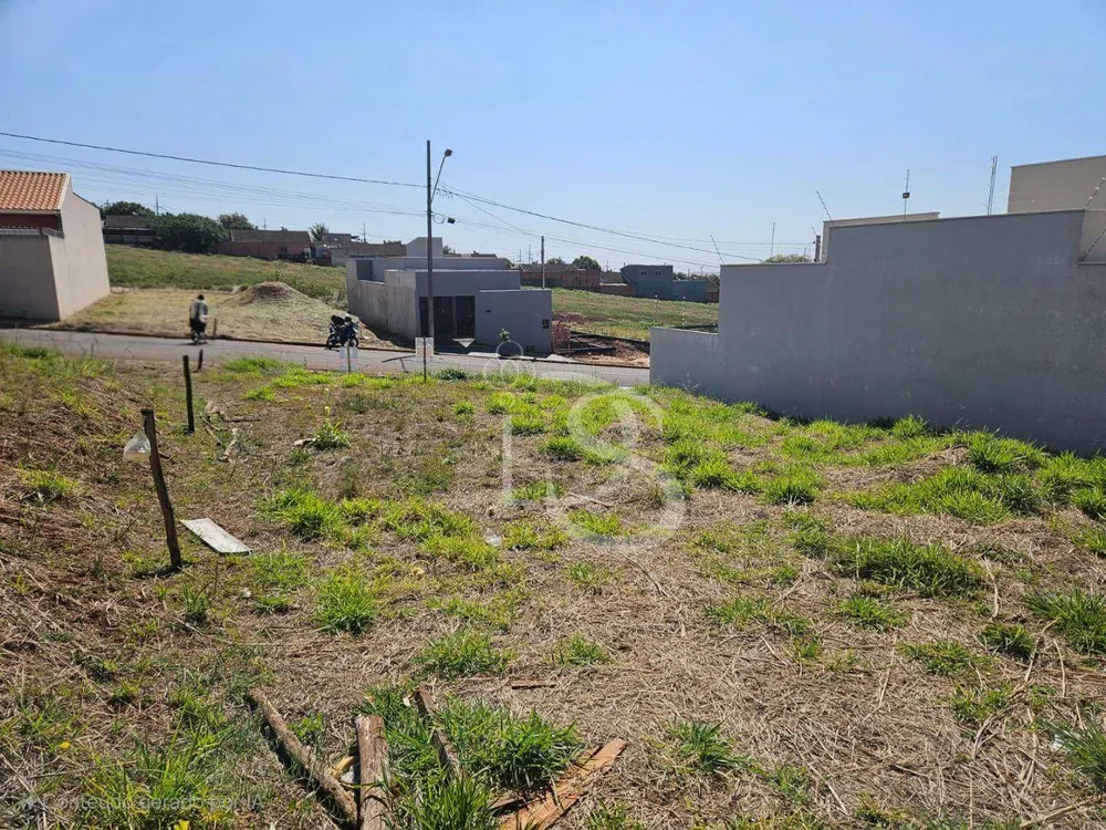 Terreno, 250 m² - Foto 7