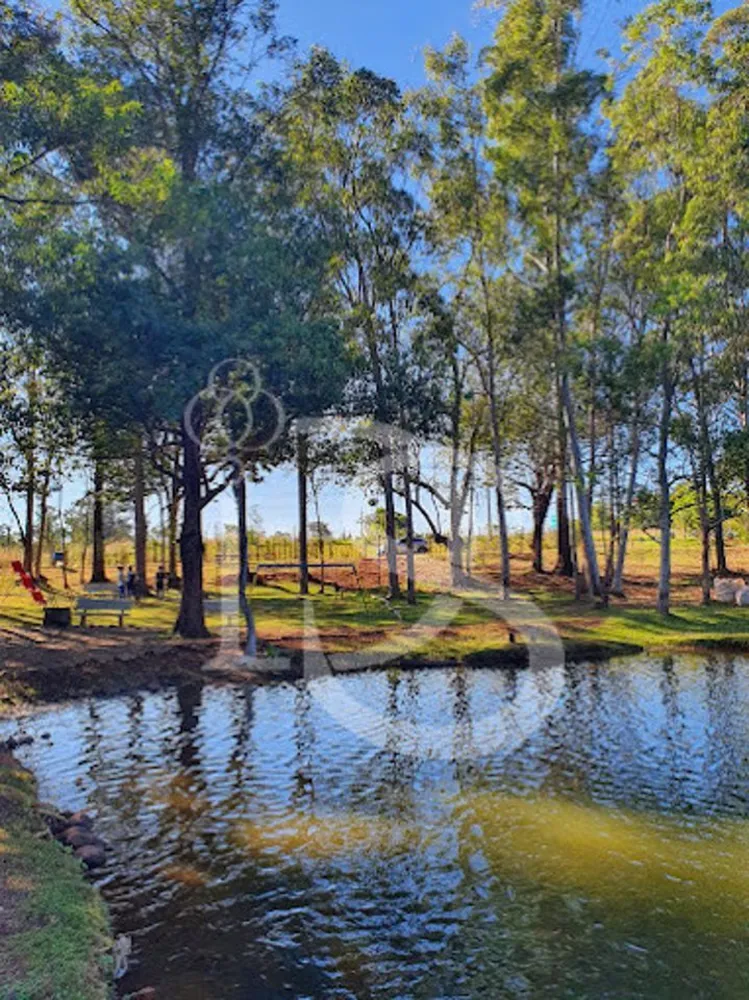 Chácara, 4 quartos, 2500 m² - Foto 3