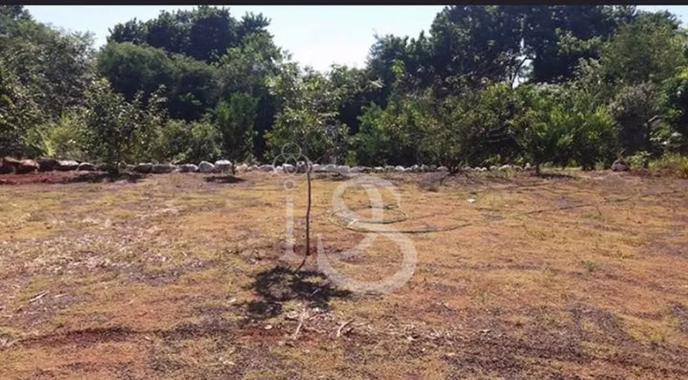 Chácara, 4 quartos, 2500 m² - Foto 6