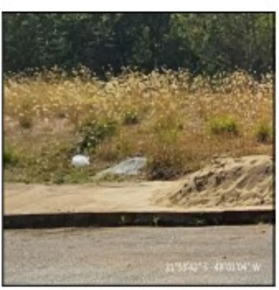 Terreno, 50 m² - Foto 2