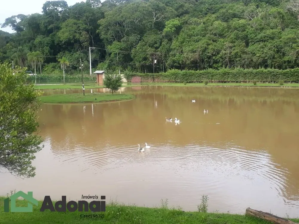 Sítio, 4 quartos, 5 hectares - Foto 4
