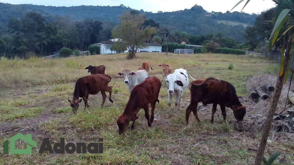 Sítio à venda com 4 quartos, 350m² - Foto 7