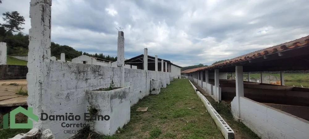 Chácara, 4 quartos, 2 hectares - Foto 6
