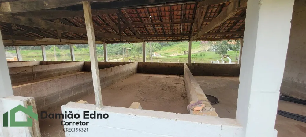 Chácara, 4 quartos, 2 hectares - Foto 11