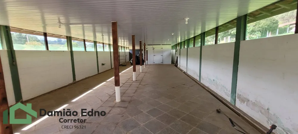 Chácara, 4 quartos, 2 hectares - Foto 4