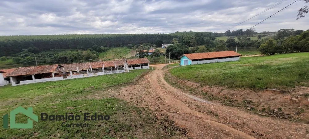 Chácara, 4 quartos, 2 hectares - Foto 8