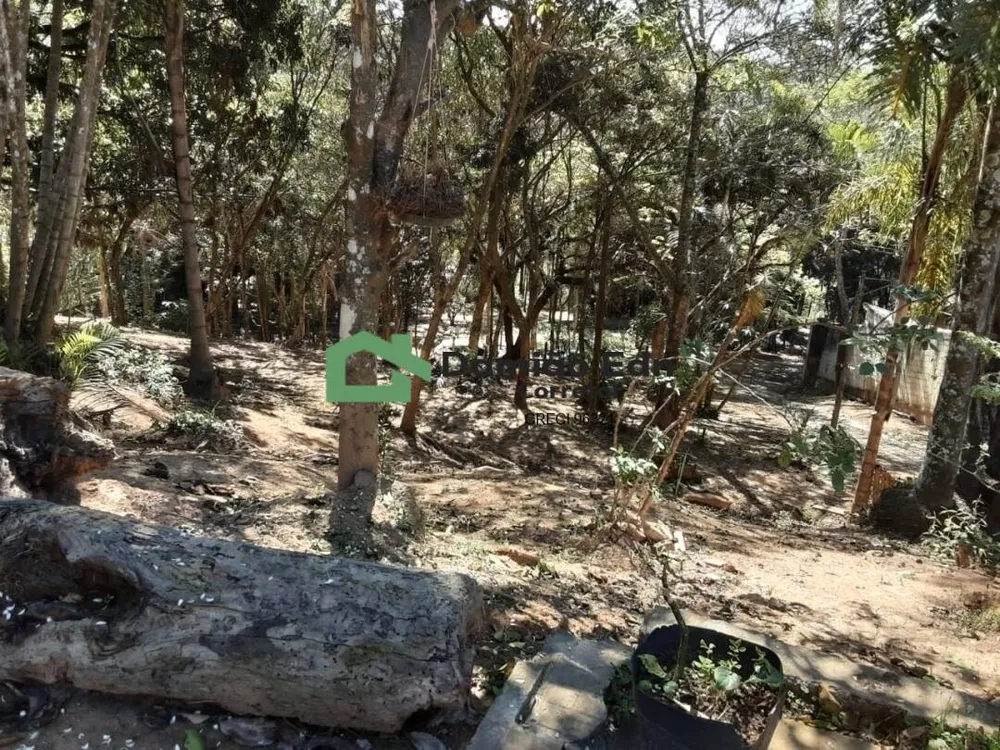 Chácara, 2 quartos, 4680 m² - Foto 3