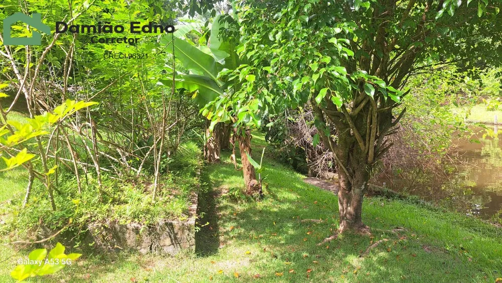 Chácara, 6 quartos, 7000 m² - Foto 2