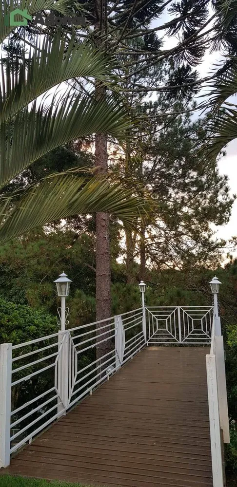 Casa, 3 quartos, 300 m² - Foto 9