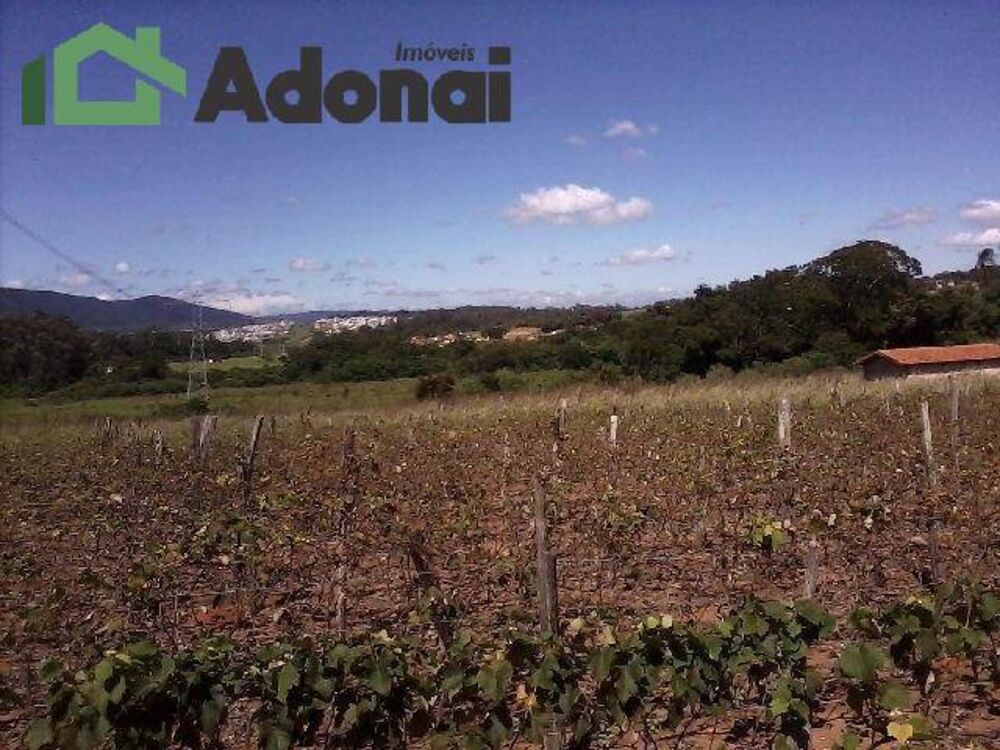 Terreno, 3630 hectares - Foto 3