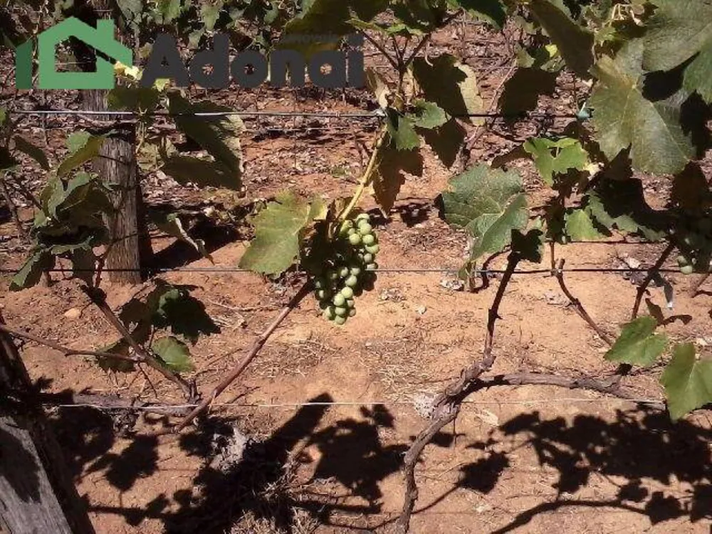 Terreno, 3630 hectares - Foto 11