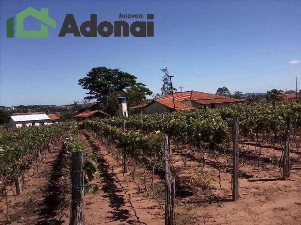 Terreno, 3630 hectares - Foto 6
