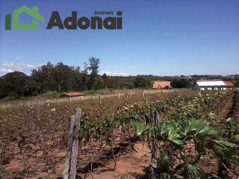 Terreno, 3630 hectares - Foto 14