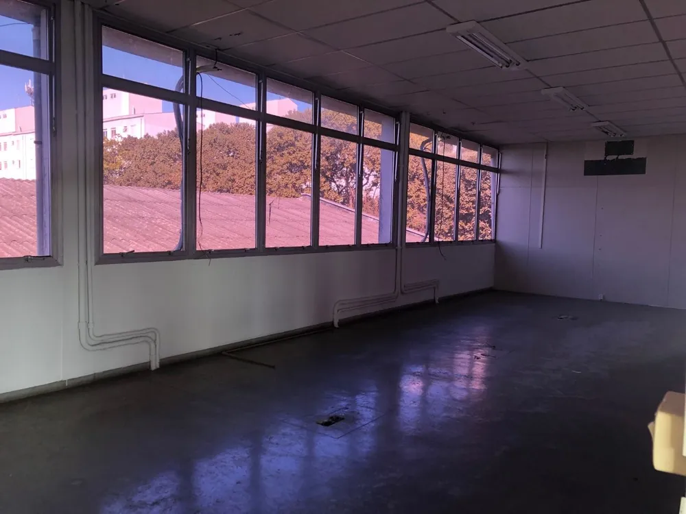 Sala-Conjunto, 240 m² - Foto 4
