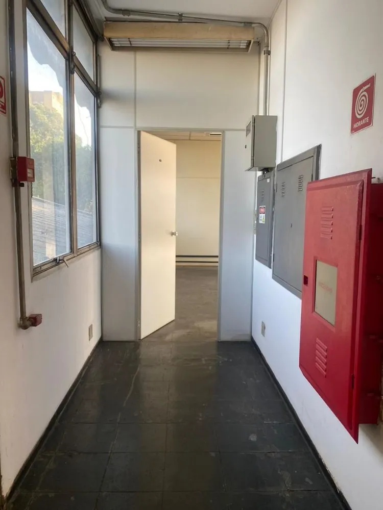 Sala-Conjunto, 240 m² - Foto 3
