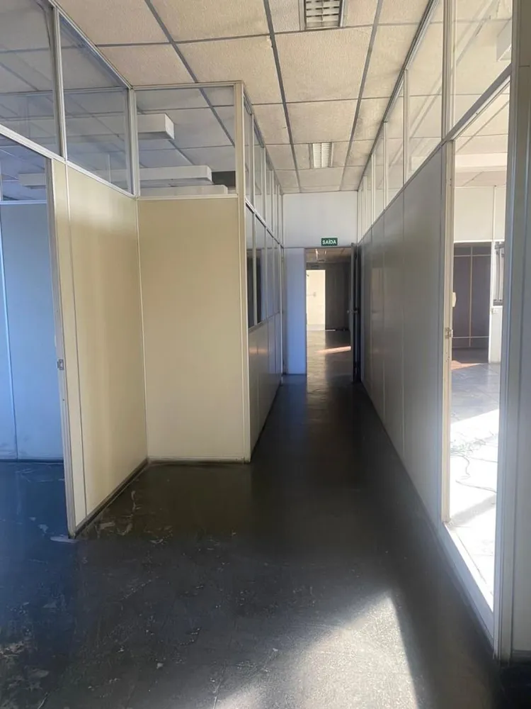 Sala-Conjunto, 225 m² - Foto 6