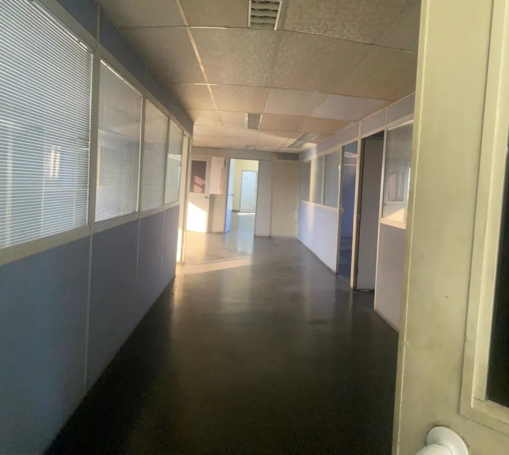 Sala-Conjunto, 225 m² - Foto 2