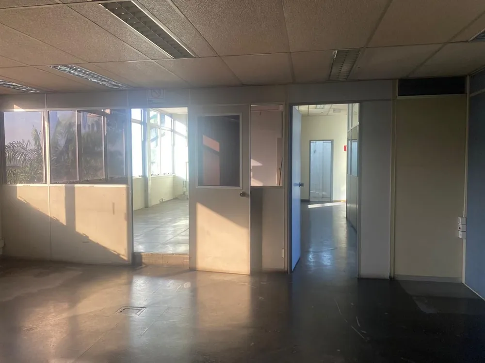 Sala-Conjunto, 225 m² - Foto 3
