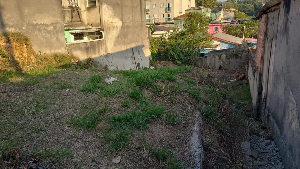 Terreno, 250 m² - Foto 2