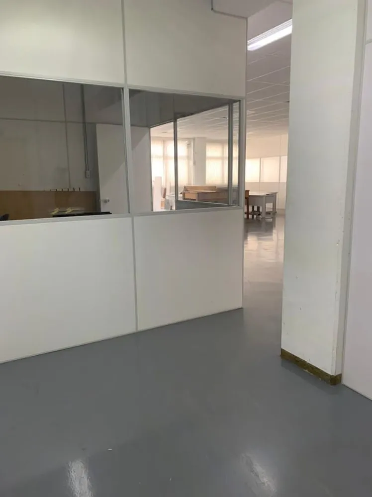 Sala-Conjunto, 248 m² - Foto 4