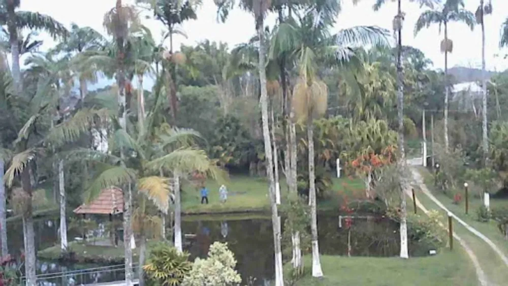 Chácara, 6 quartos, 2 hectares - Foto 3
