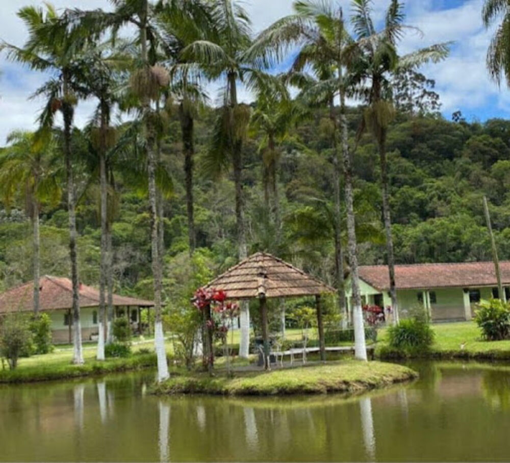 Chácara, 6 quartos, 2 hectares - Foto 2