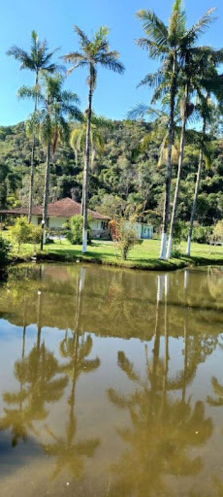 Chácara, 6 quartos, 2 hectares - Foto 4