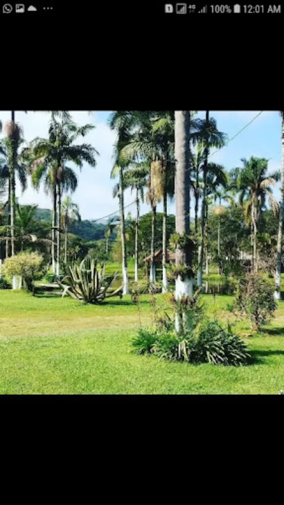 Chácara, 6 quartos, 2 hectares - Foto 10