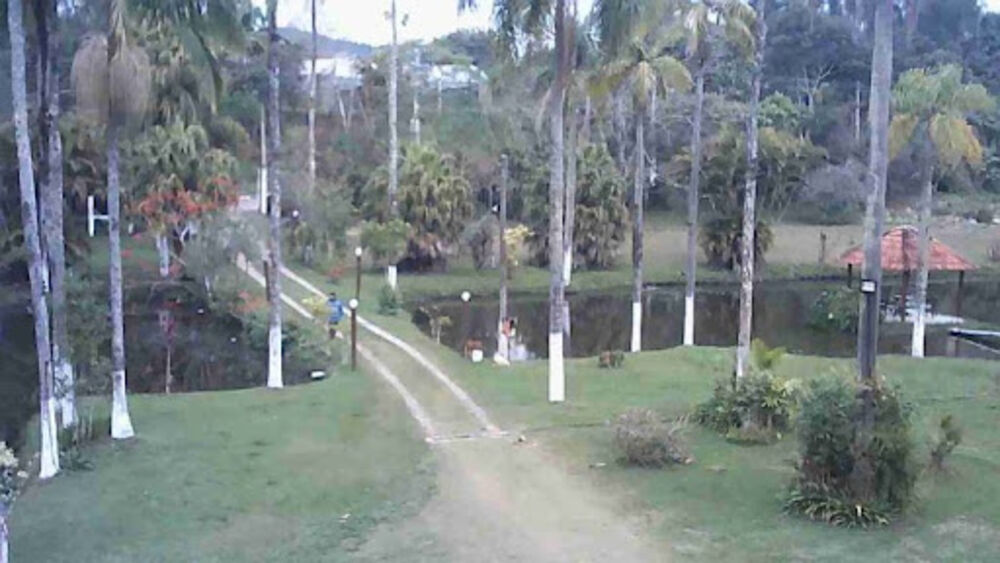 Chácara, 6 quartos, 2 hectares - Foto 1