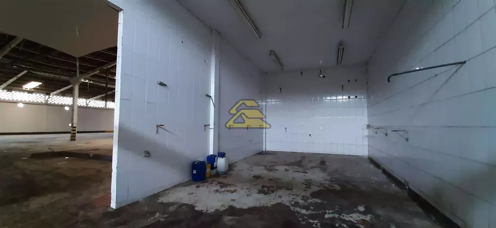 Depósito-Galpão, 5000 m² - Foto 11