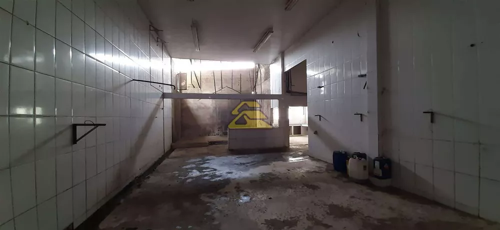 Depósito-Galpão, 5000 m² - Foto 9