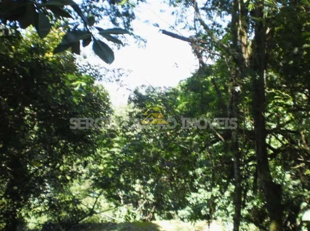 Prédio Inteiro, 7200 m² - Foto 5