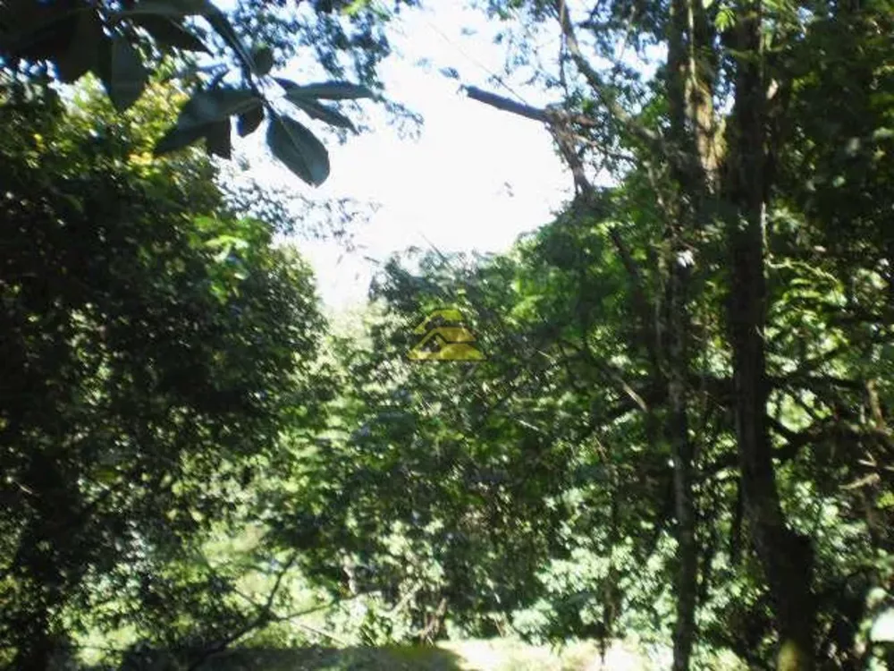 Prédio Inteiro, 7200 m² - Foto 10