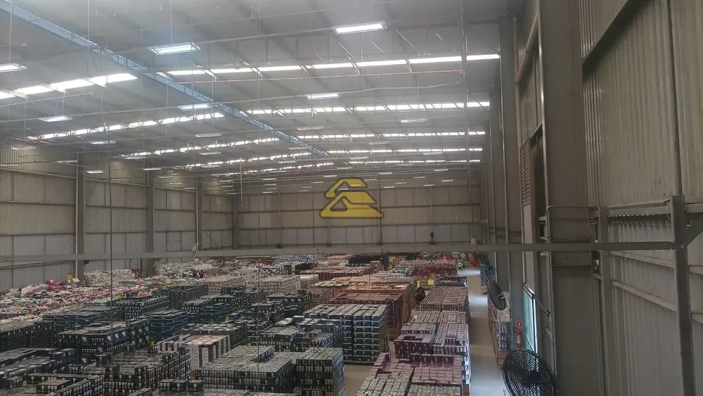 Depósito-Galpão, 6000 m² - Foto 3