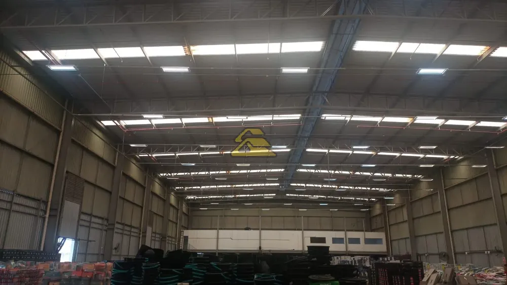 Depósito-Galpão, 6000 m² - Foto 14