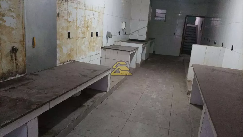 Loja-Salão, 282 m² - Foto 16