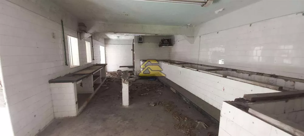 Prédio Inteiro, 5300 m² - Foto 13