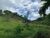 Terreno, 1 hectares - Foto 1