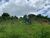 Terreno, 1 hectares - Foto 4