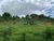 Terreno, 1 hectares - Foto 3
