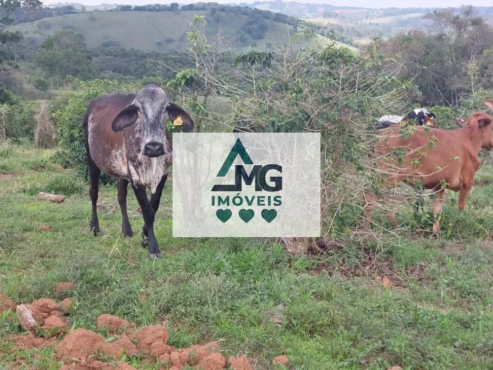 Fazenda, 100 m² - Foto 1