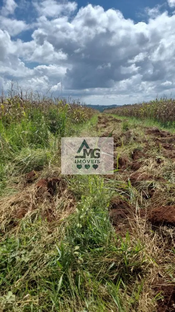 Terreno, 4 hectares - Foto 2