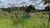 Terreno, 540 m² - Foto 1
