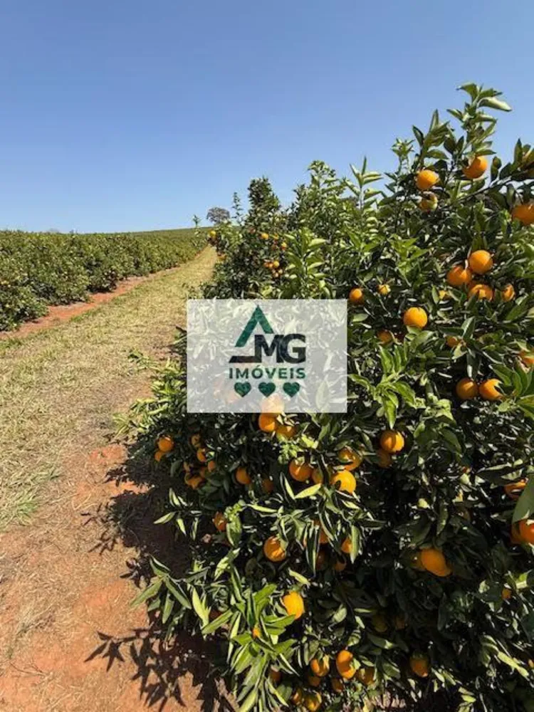 Fazenda, 150 m² - Foto 16