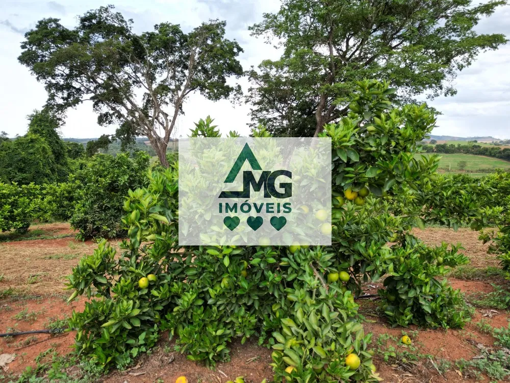 Fazenda, 150 m² - Foto 8