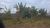 Terreno, 2 hectares - Foto 2